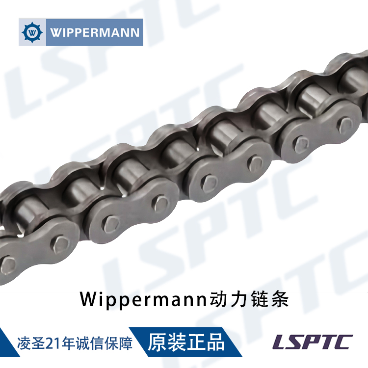 Wippermann动力链条